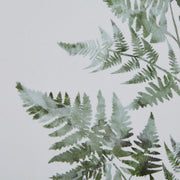 Watercolour Bracken Fern In Washed Wood Frame – image 3