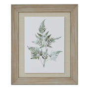 Watercolour Bracken Fern In Washed Wood Frame – image 1
