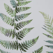 Watercolour Fern Duo In Washed Wood Frame – image 3
