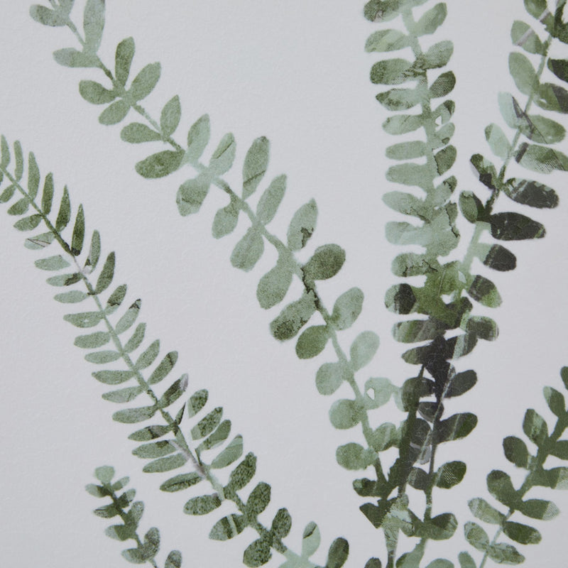 Watercolour Delicate Fern In Washed Wood Frame – image 3