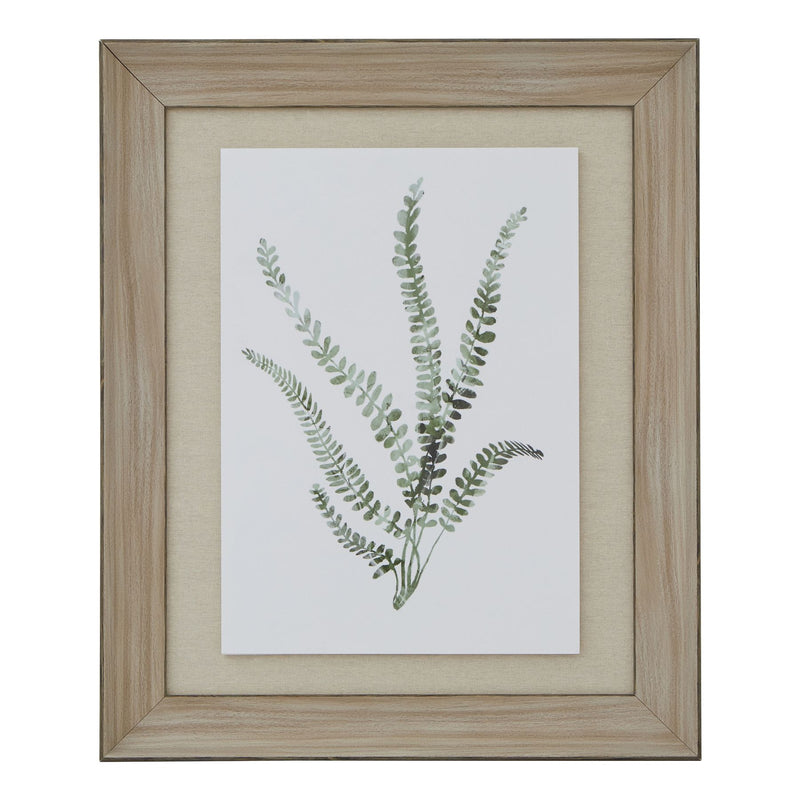 Watercolour Delicate Fern In Washed Wood Frame – image 1