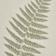 Fern Art On Texture-Torn Paper With Beaded Frame – image 4