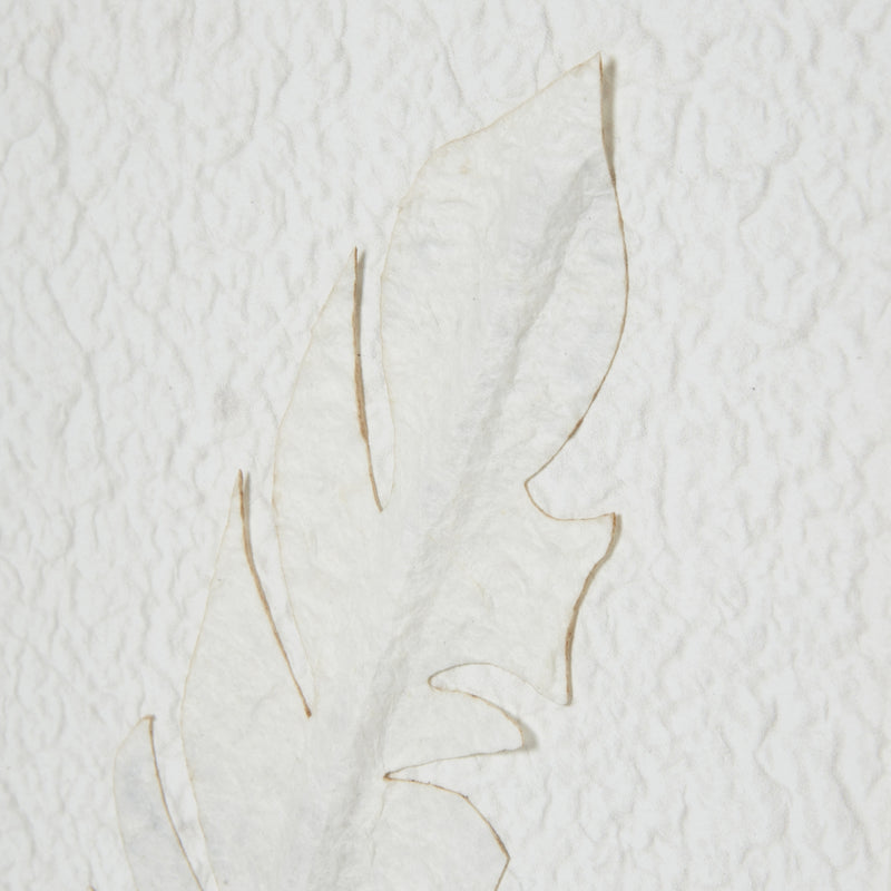 Solli White Feathers Art Mounted In Beaded Frame – image 3
