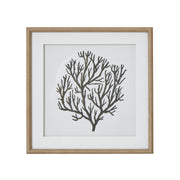 Atol Coral Art Mounted In Beaded Frame – image 1