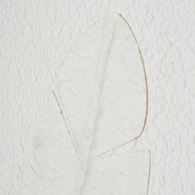 Large Quill White Feather Art Mounted In Beaded Frame – image 4