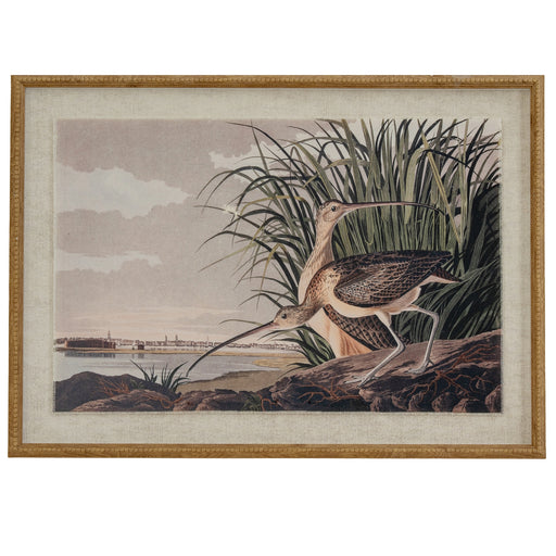 Flora & Fauna Collection Curlews On Linen In Beaded Frame – image 1