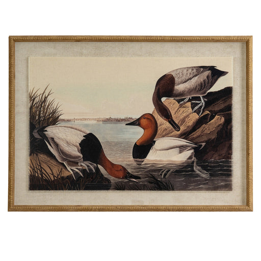 Flora & Fauna Collection Pochards On Linen In Beaded Frame – image 1