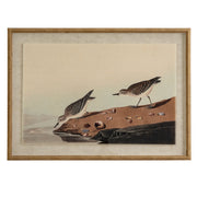Flora & Fauna Collection Stints On Linen In Beaded Frame – image 1