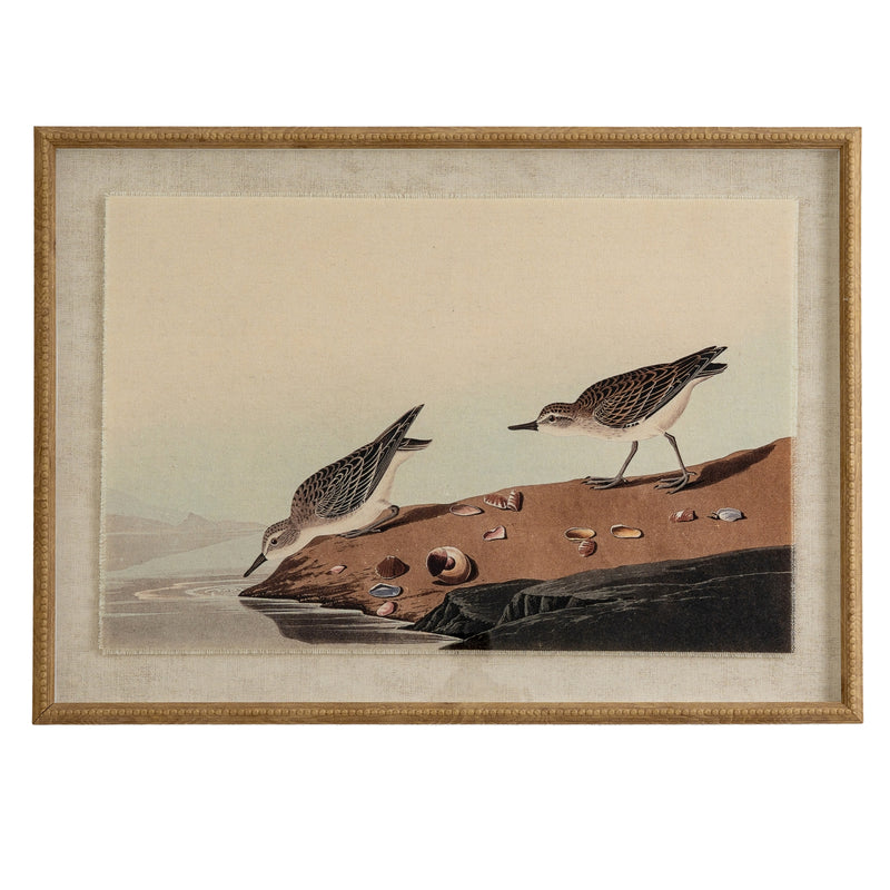 Flora & Fauna Collection Stints On Linen In Beaded Frame – image 1