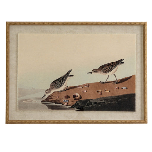 Flora & Fauna Collection Stints On Linen In Beaded Frame – image 1