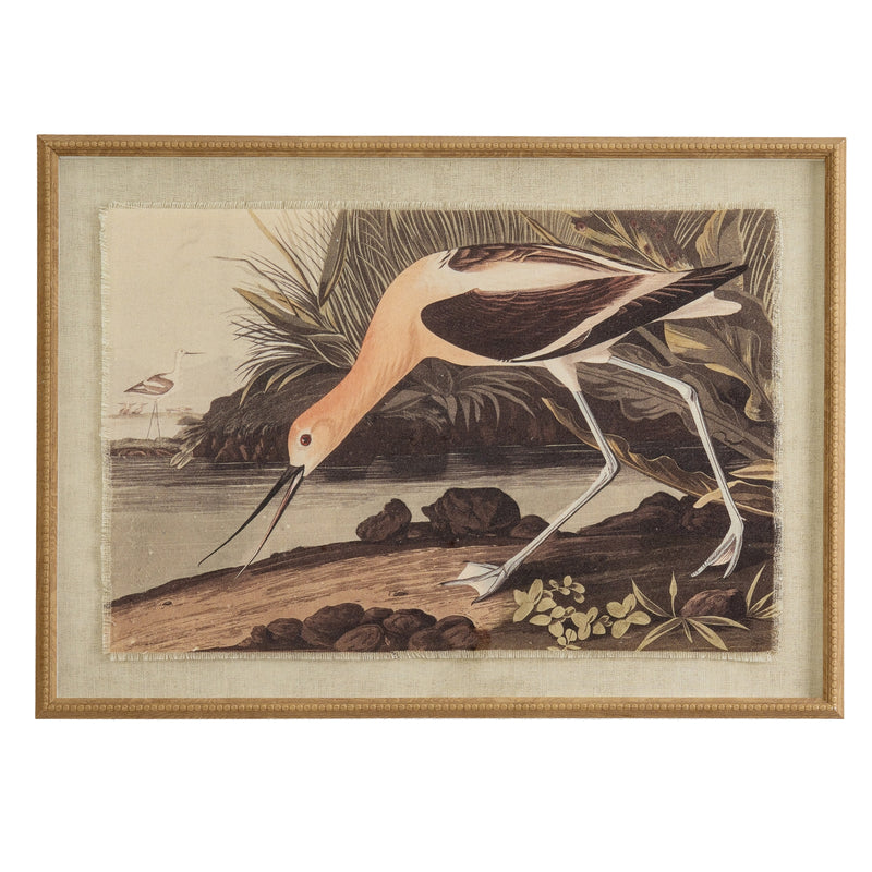 Flora & Fauna Collection Avocet On Linen In Beaded Frame – image 1