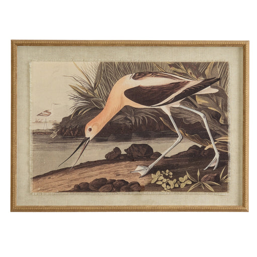 Flora & Fauna Collection Avocet On Linen In Beaded Frame – image 1