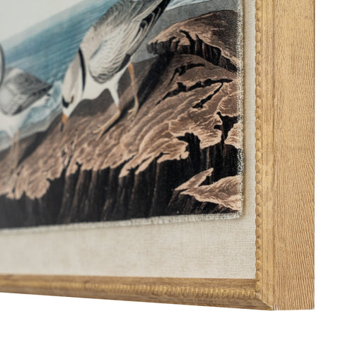 Flora & Fauna Collection Plovers On Linen In Beaded Frame – image 2