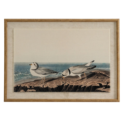 Flora & Fauna Collection Plovers On Linen In Beaded Frame – image 1