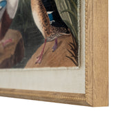Flora & Fauna Collection Mallards On Linen In Beaded Frame – image 2
