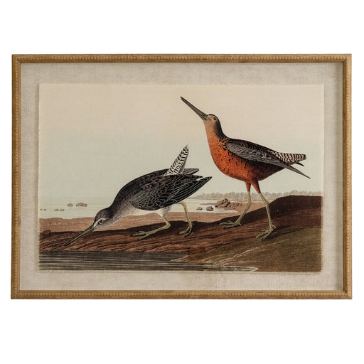 Flora & Fauna Collection Snipes On Linen In Beaded Frame – image 1