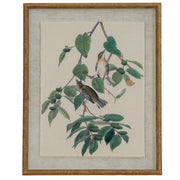 Flora & Fauna Collection Warblers On Linen In Beaded Frame – image 1