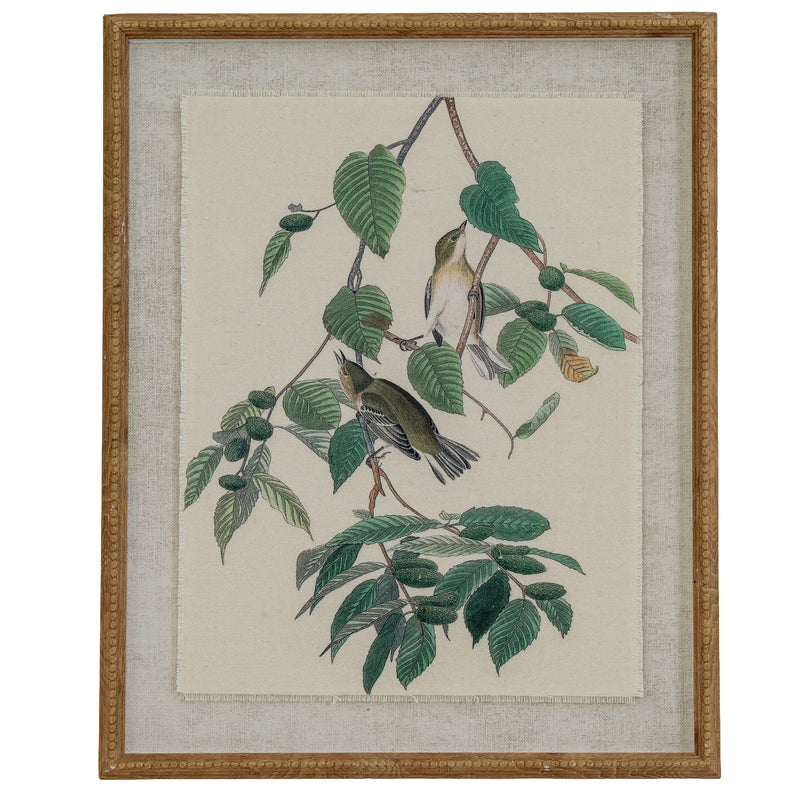 Flora & Fauna Collection Warblers On Linen In Beaded Frame – image 1