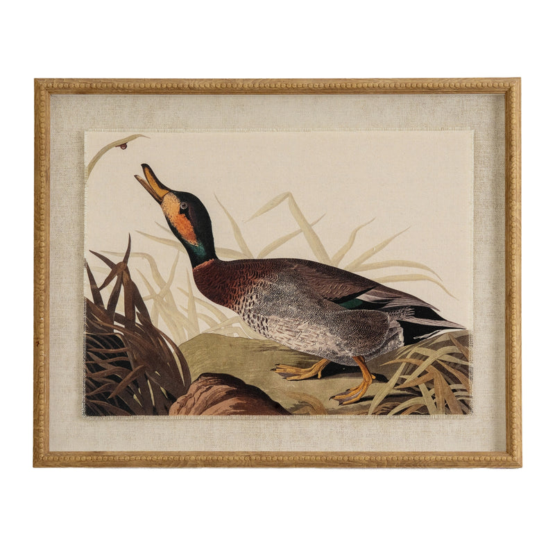 Flora & Fauna Collection Duck On Linen In Beaded Frame – image 1