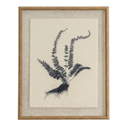 Flora & Fauna Collection Spleenwort On Linen In Beaded Frame – image 1