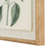 Flora & Fauna Collection Salvia On Linen In Beaded Frame – image 2