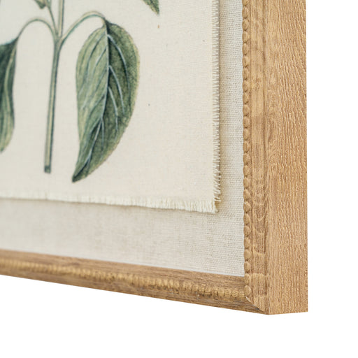 Flora & Fauna Collection Salvia On Linen In Beaded Frame – image 2