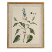 Flora & Fauna Collection Salvia On Linen In Beaded Frame – image 1