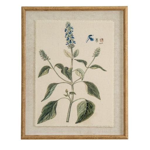 Flora & Fauna Collection Salvia On Linen In Beaded Frame – image 1