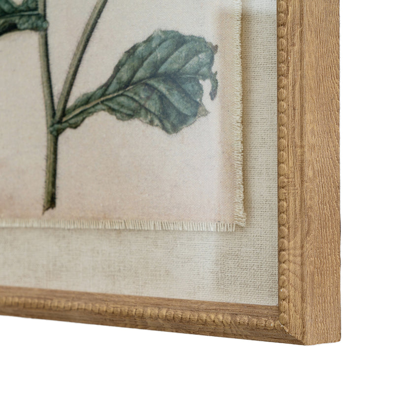 Flora & Fauna Collection Borage On Linen In Beaded Frame – image 2