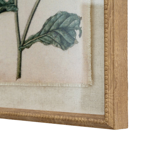 Flora & Fauna Collection Borage On Linen In Beaded Frame – image 2