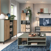 Darwin Sideboard 2 Door in Green/Oak – image 4