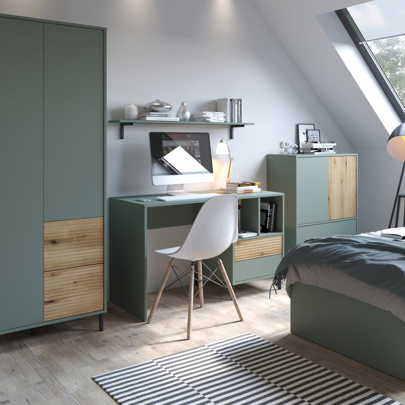 Darwin Desk 2 Drawer in Green/Oak – image 3