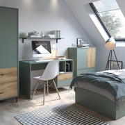 Darwin Sideboard 2 Door 2 Drawer in Green/Oak – image 4