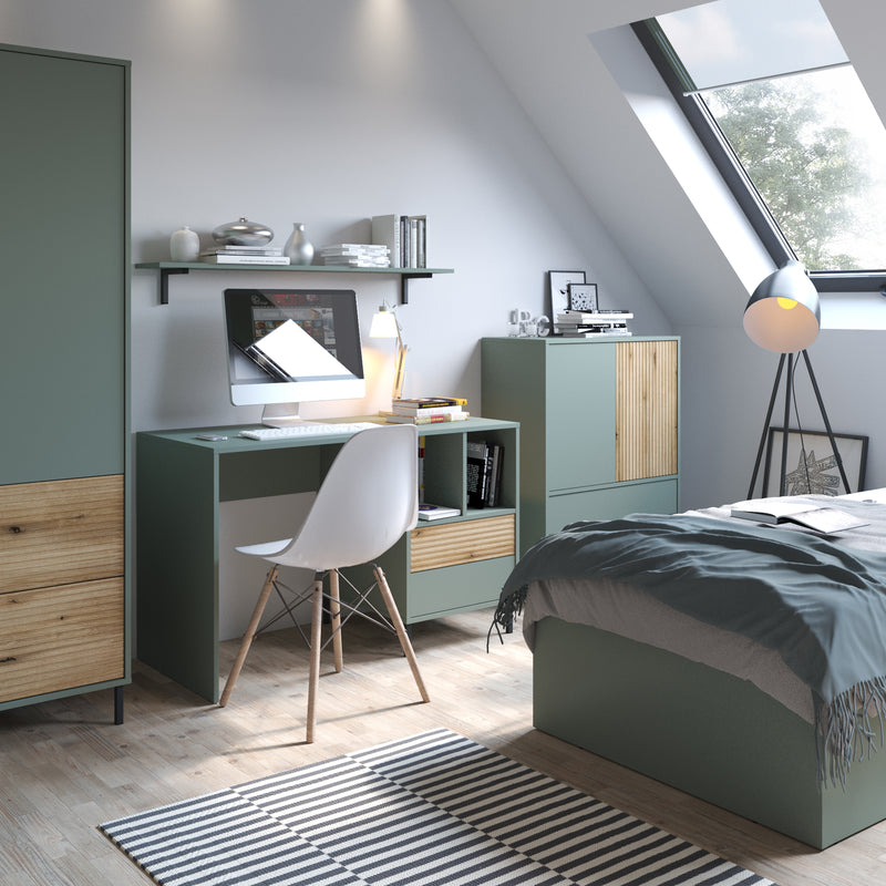 Darwin Sideboard 2 Door 2 Drawer in Green/Oak – image 4