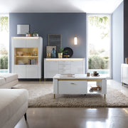 Lazio Vitrin 2 Door in Alpine White/White Gloss – image 4