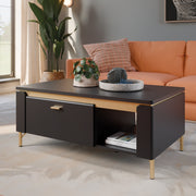 Genoa Coffee Table 1 Drawer in Black Matt/Gold – image 4