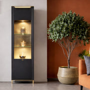 Genoa Vitrin 1 Door in Black Matt/Gold – image 4