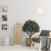 Basic Low Narrow Storage Cabinet in White (2 Shelves) with Oak Door – image 3