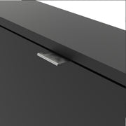 Shoes Shoe Cabinet 2 Flip Down Doors and 2 layers – Matt Black – image 7