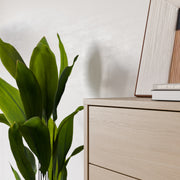 Alice Springs 4 Drawer Chest with Push-to-Open Drawers in Elegancia Oak and White – image 8