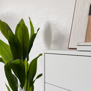 Alice Springs 4 Drawer Chest with Push-to-Open Drawers in Light Grey – image 7