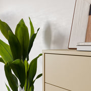 Alice Springs 4 Drawer Chest with Push-to-Open Drawers in Butter Yellow – image 9