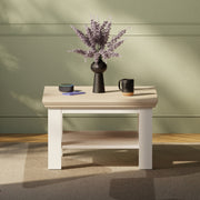Pontypool Small Coffee Table with Shelf in White and Riva Oak – image 6