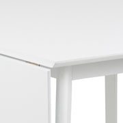 Roxby Square Dining Table in White Included 2 Roxby Dining Chair in White – image 5
