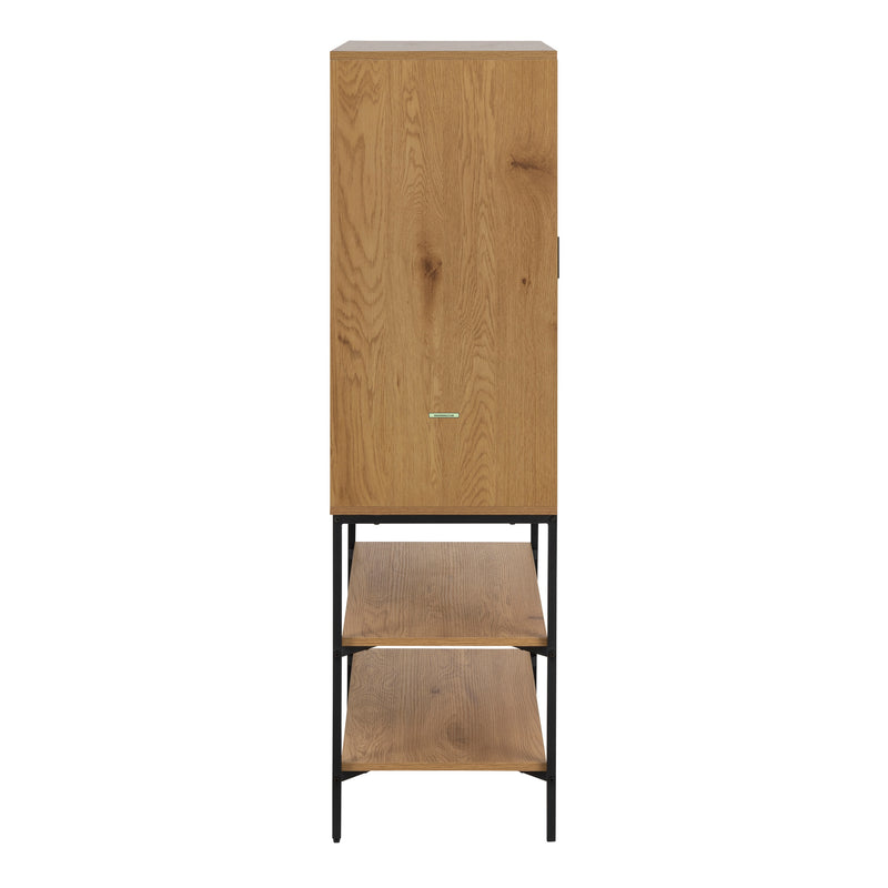 Jaipur Cabinet with 2 Doors in Wild Oak – image 3
