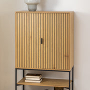 Jaipur Cabinet with 2 Doors in Wild Oak – image 7